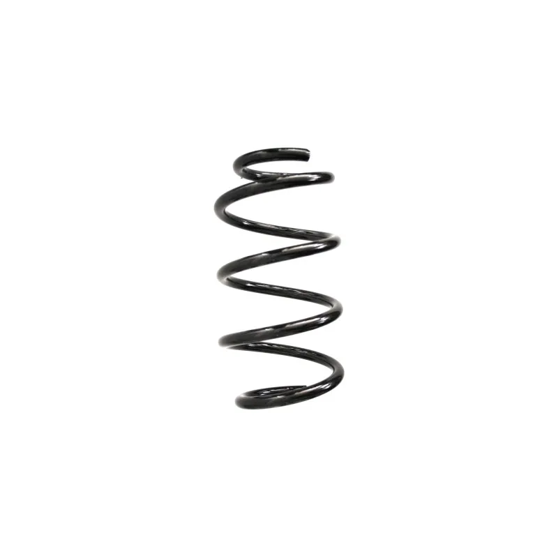 Ressort de suspension SPIDAN 86999