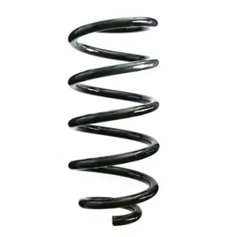 Ressort de suspension SPIDAN 87000