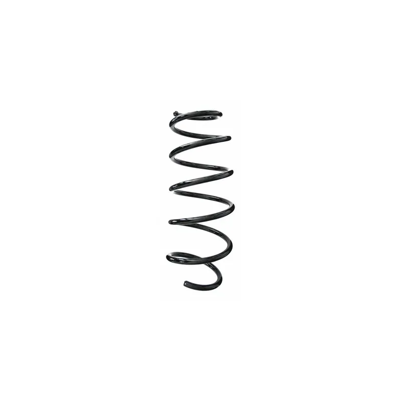 Ressort de suspension SPIDAN 87005
