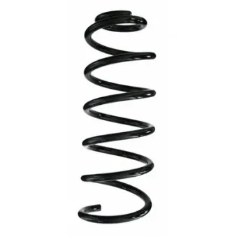 Ressort de suspension SPIDAN 87006