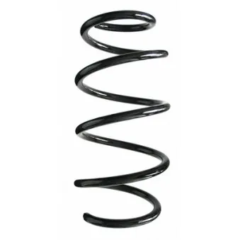 Ressort de suspension SPIDAN 87013