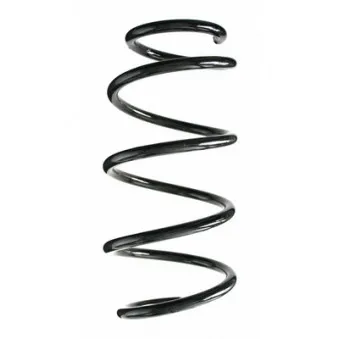 Ressort de suspension SPIDAN 87014