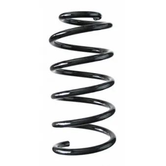 Ressort de suspension SPIDAN 87020