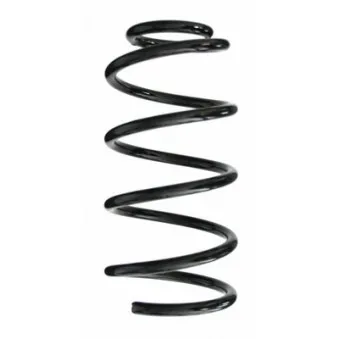 Ressort de suspension SPIDAN 87021