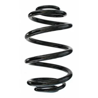 Ressort de suspension SPIDAN 87029