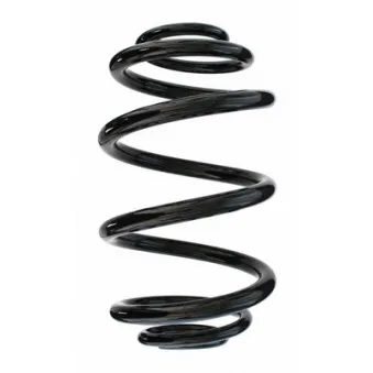 Ressort de suspension SPIDAN 87030