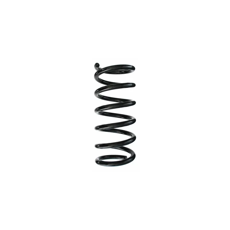 Ressort de suspension SPIDAN 87032