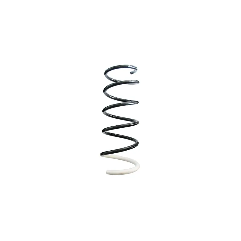 Ressort de suspension SPIDAN 87033