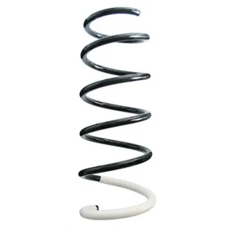 Ressort de suspension SPIDAN 87034