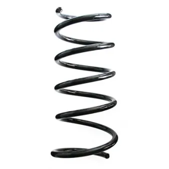 Ressort de suspension SPIDAN 87036