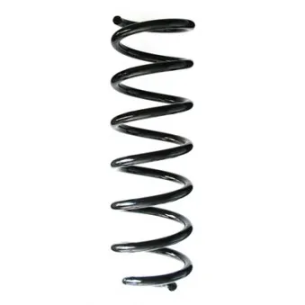 Ressort de suspension SPIDAN 87037