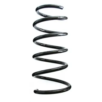 Ressort de suspension SPIDAN 87039