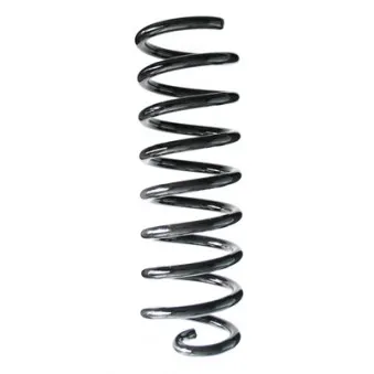 Ressort de suspension SPIDAN 87041