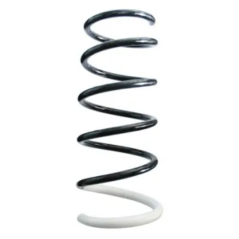 Ressort de suspension SPIDAN 87042