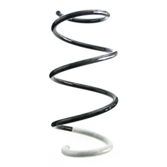 Ressort de suspension SPIDAN 87044