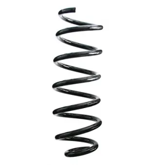 Ressort de suspension SPIDAN 87056