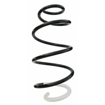 Ressort de suspension SPIDAN 87058
