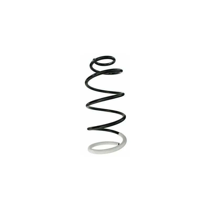 Ressort de suspension SPIDAN 87064
