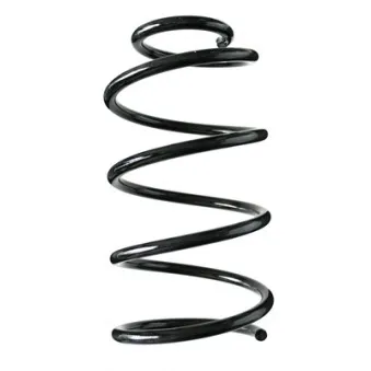 Ressort de suspension SPIDAN 87069
