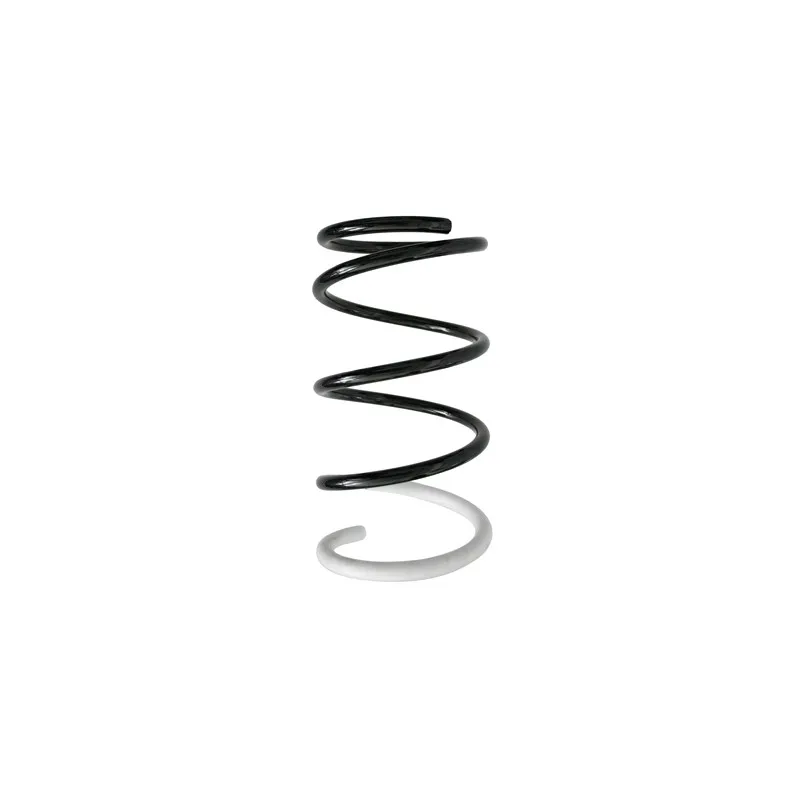 Ressort de suspension SPIDAN 87079