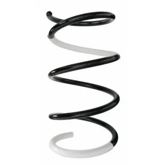 Ressort de suspension SPIDAN 87089