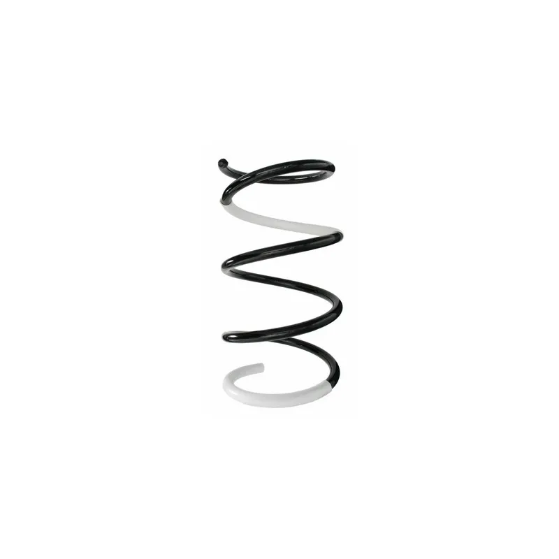 Ressort de suspension SPIDAN 87089