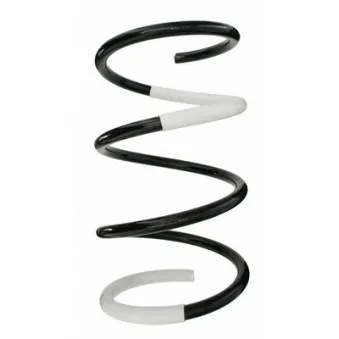 Ressort de suspension SPIDAN 87090