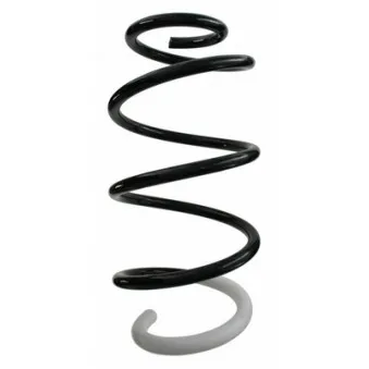 Ressort de suspension SPIDAN 87094