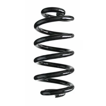 Ressort de suspension SPIDAN 87097