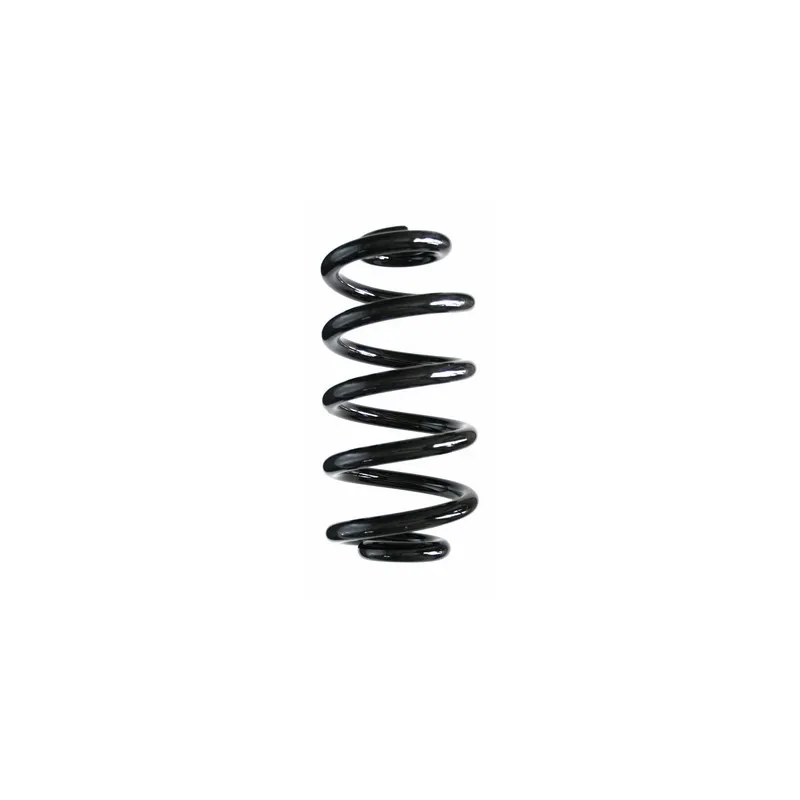 Ressort de suspension SPIDAN 87098