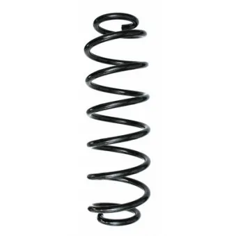 Ressort de suspension SPIDAN 87099