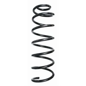 Ressort de suspension SPIDAN 87102