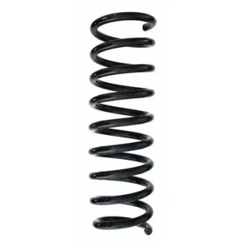 Ressort de suspension SPIDAN 87106