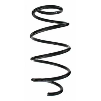 Ressort de suspension SPIDAN 87110