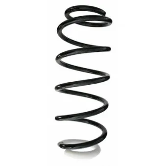 Ressort de suspension SPIDAN 87112