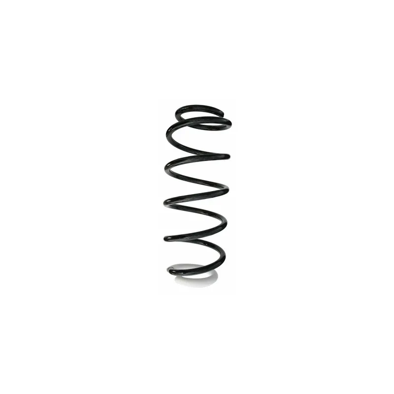 Ressort de suspension SPIDAN 87112