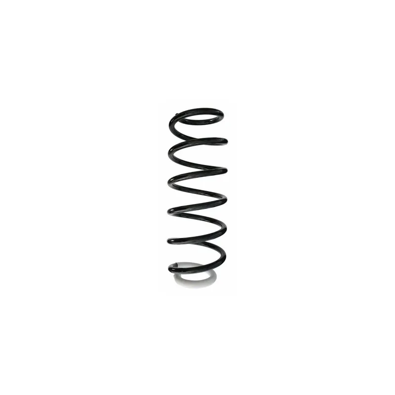 Ressort de suspension SPIDAN 87114