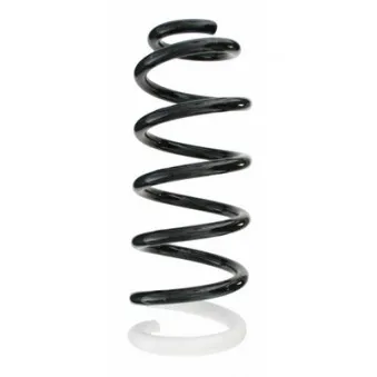 Ressort de suspension SPIDAN 87116
