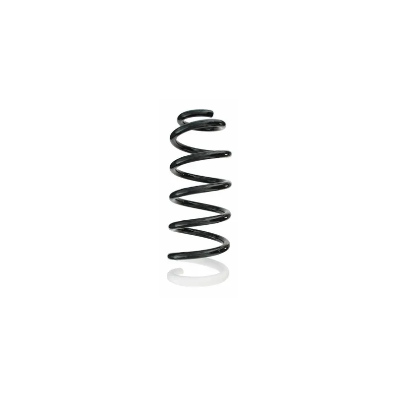 Ressort de suspension SPIDAN 87116
