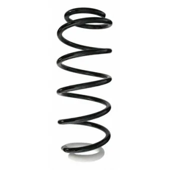 Ressort de suspension SPIDAN 87117