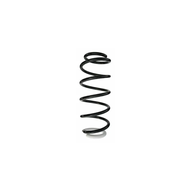 Ressort de suspension SPIDAN 87117