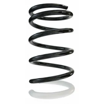Ressort de suspension SPIDAN