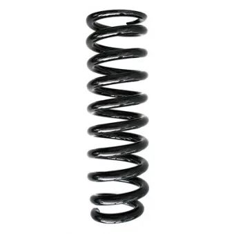 Ressort de suspension SPIDAN 87120