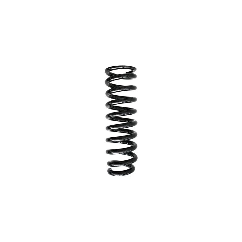 Ressort de suspension SPIDAN 87120