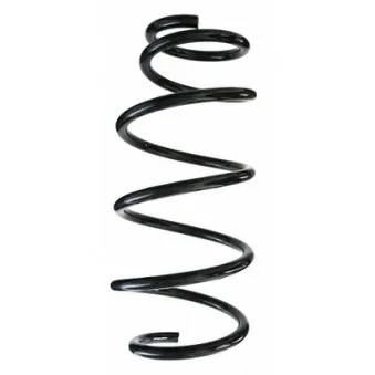 Ressort de suspension SPIDAN 87125