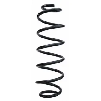Ressort de suspension SPIDAN 87135
