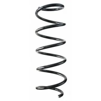 Ressort de suspension SPIDAN 87138