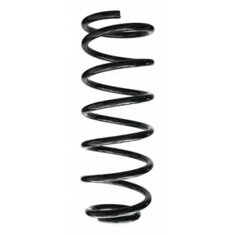 Ressort de suspension SPIDAN 87140