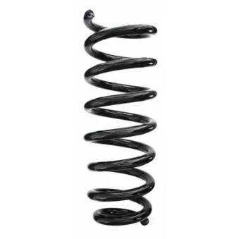 Ressort de suspension SPIDAN 87150