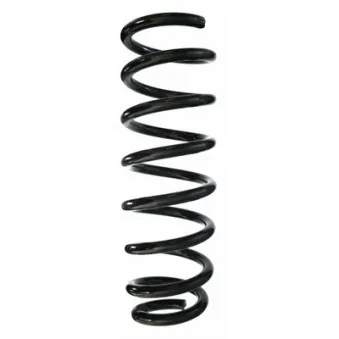 Ressort de suspension SPIDAN 87156